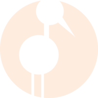 Storch Storch